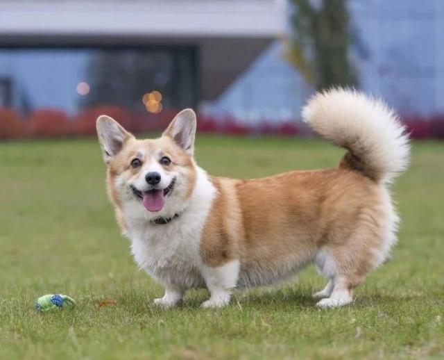 v2-d15a2988d9fb689ca3cf5b40a0a0e69a_1440w.jpg?source=172ae18b