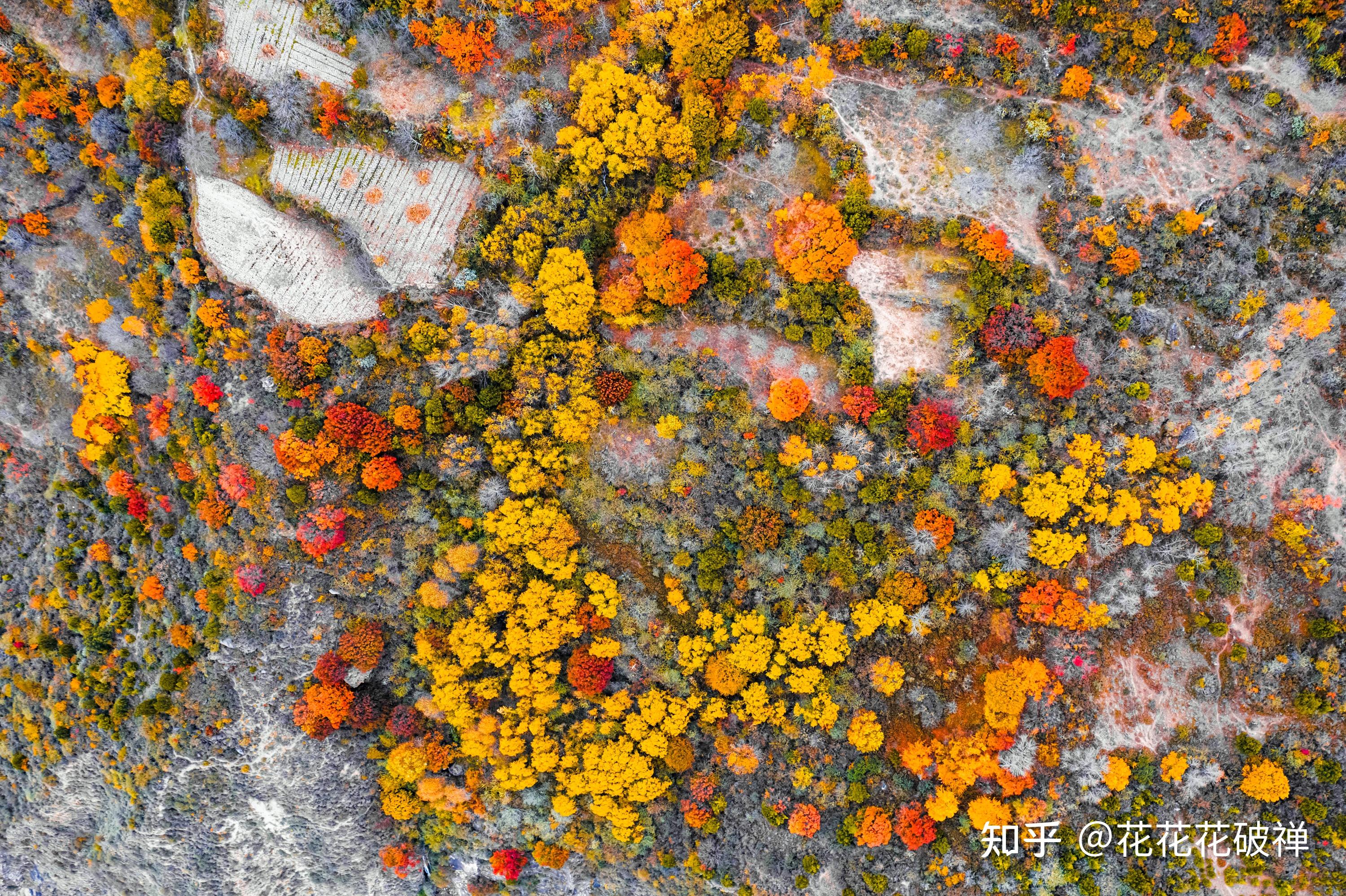 中国最美的秋天在哪里?