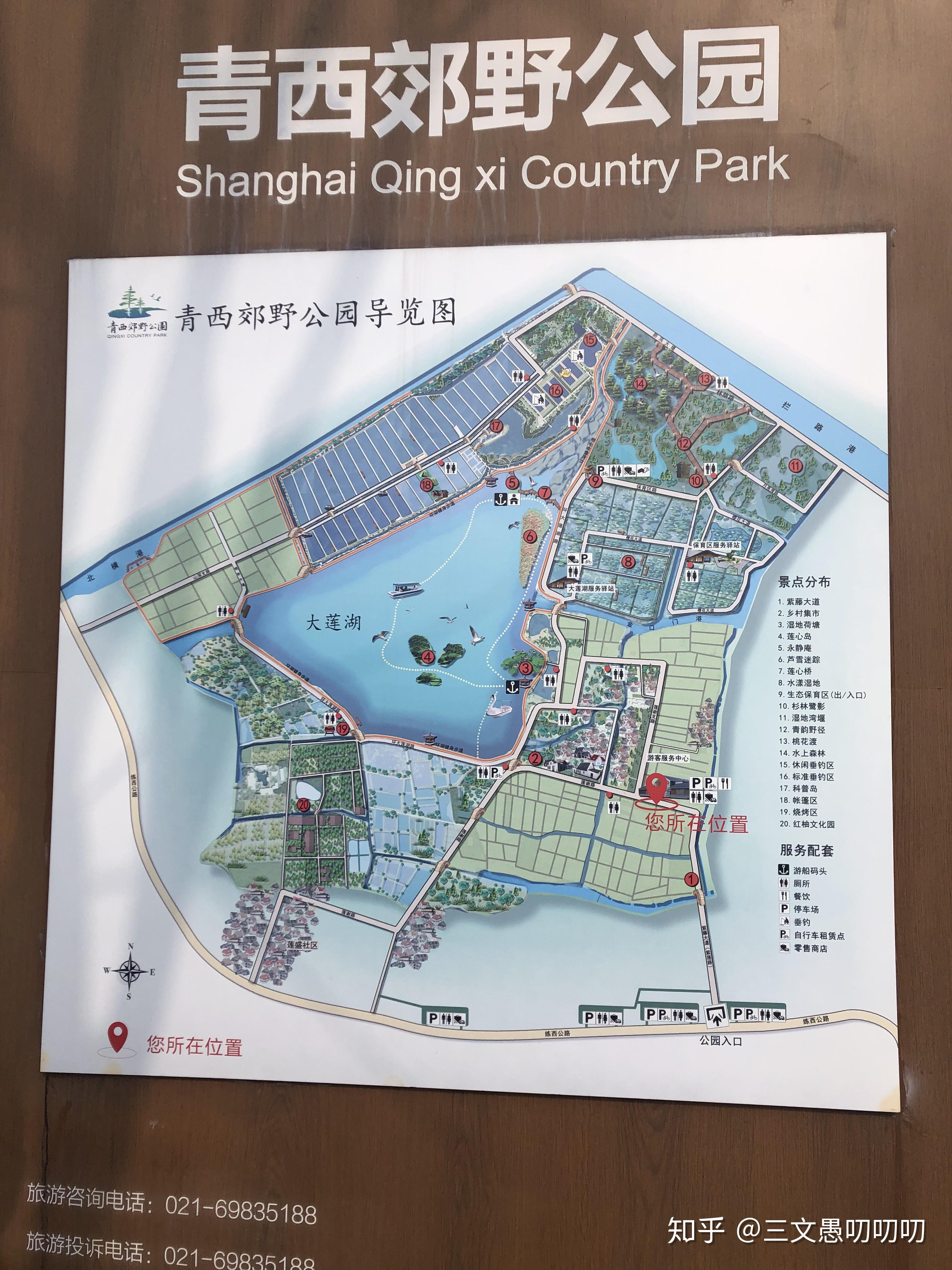 上海青浦青西郊野公园徒步旅行攻略