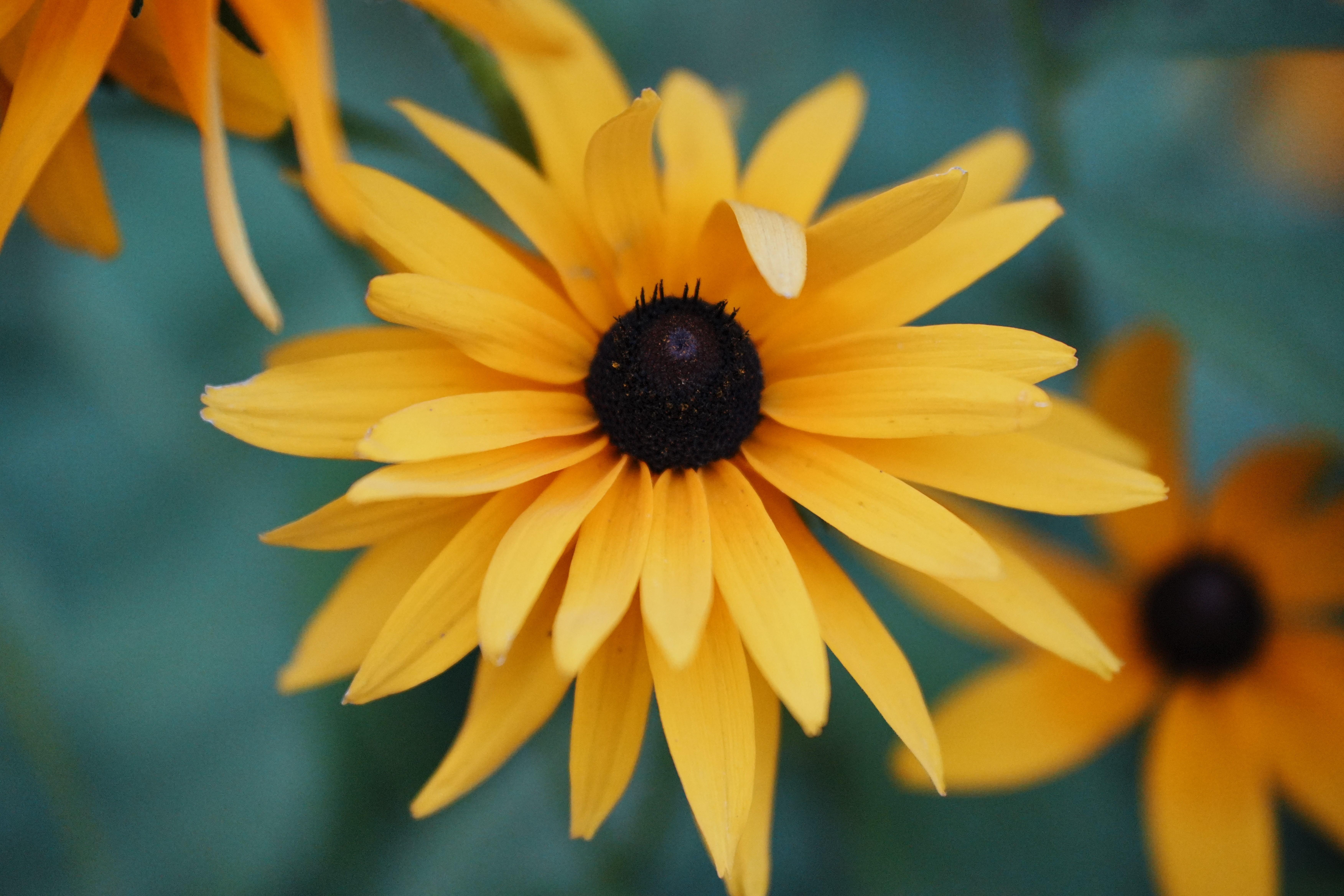 韩作家上节目称汉字由韩国人创造韩网民看得我尴尬如何评价这一行为