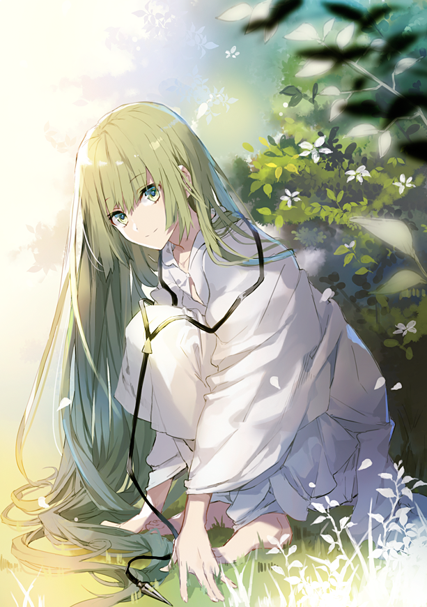 【Fate/pixiv】天之锁——恩奇都 - 知乎