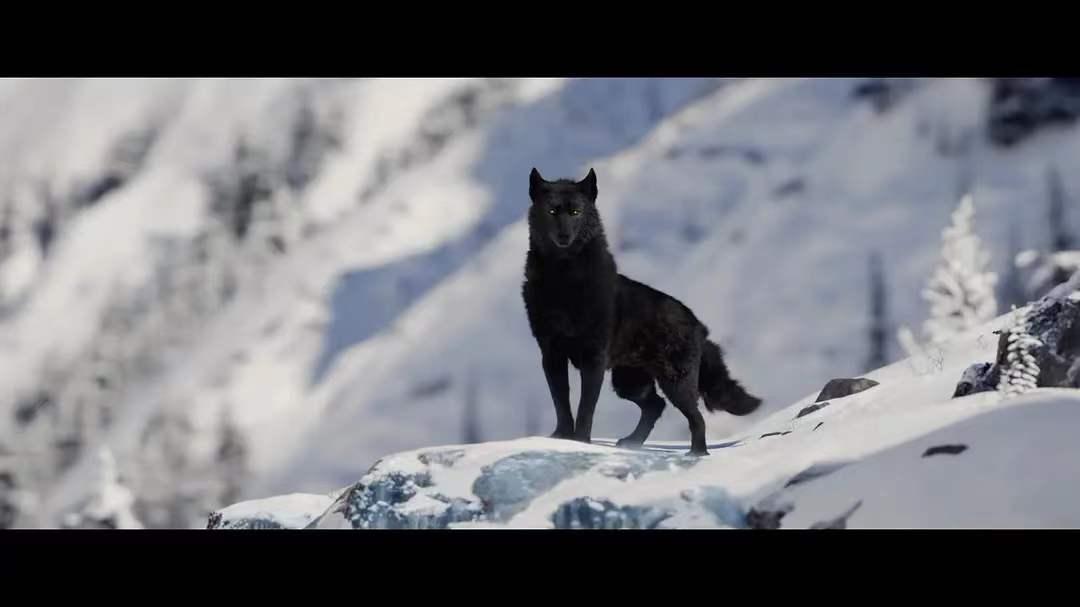 如何评价杰克伦敦的野性的呼唤