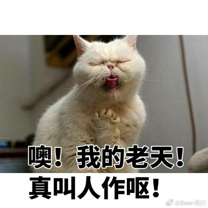 组织在青年电影手册组织的金扫帚奖投刘亦菲,