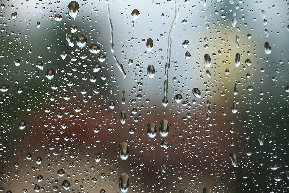 夏雨 知乎