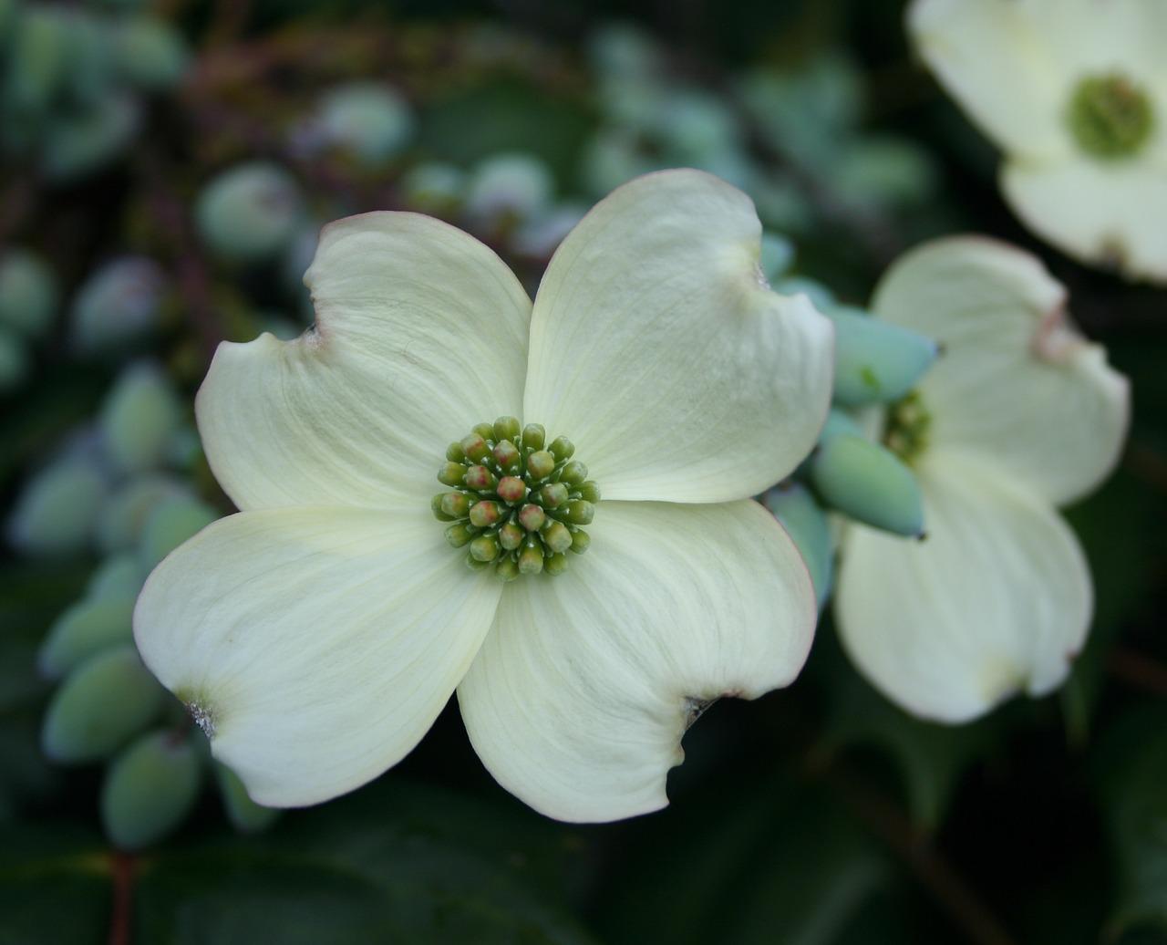 3. 调节室内湿度