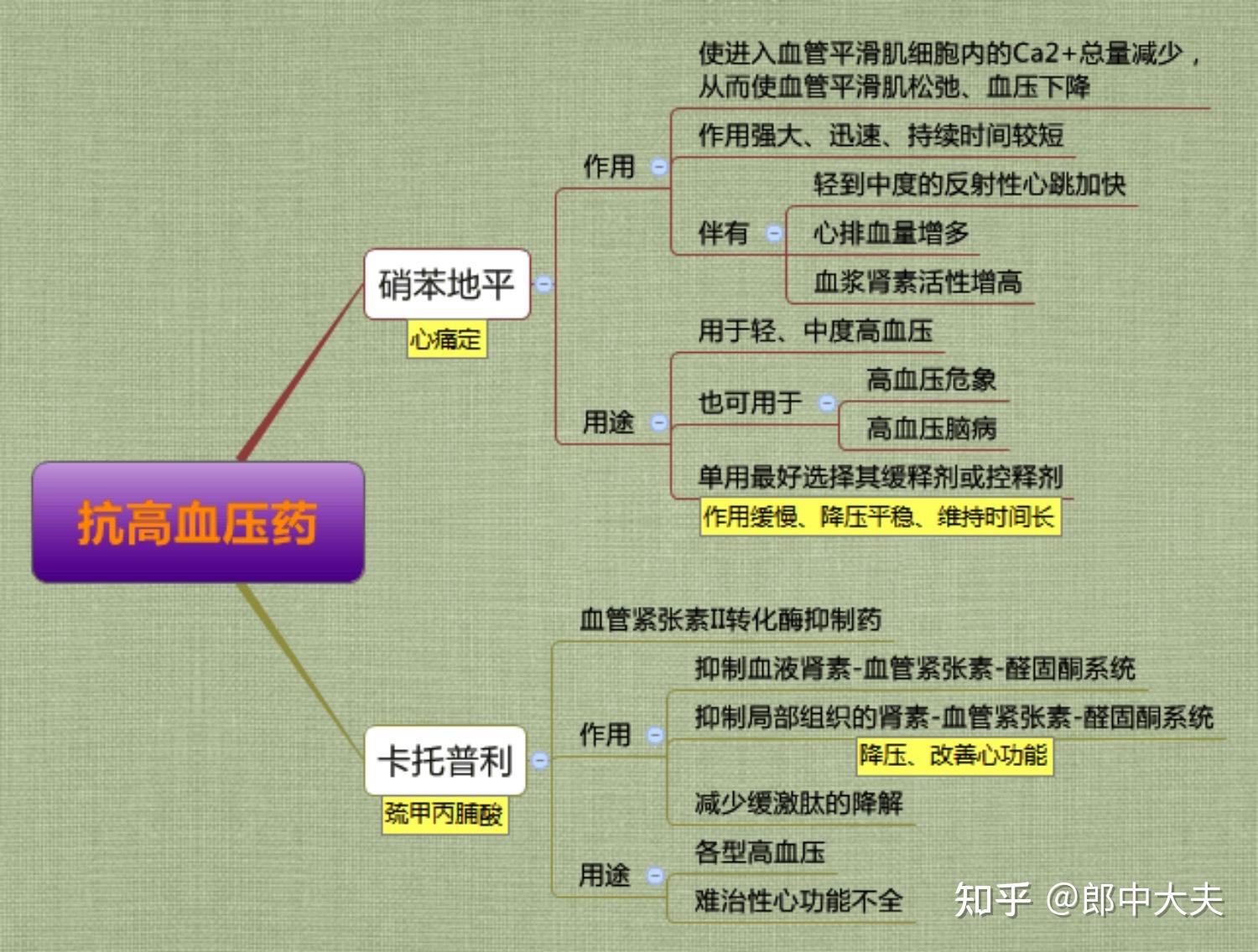 药理学思维导图完整版