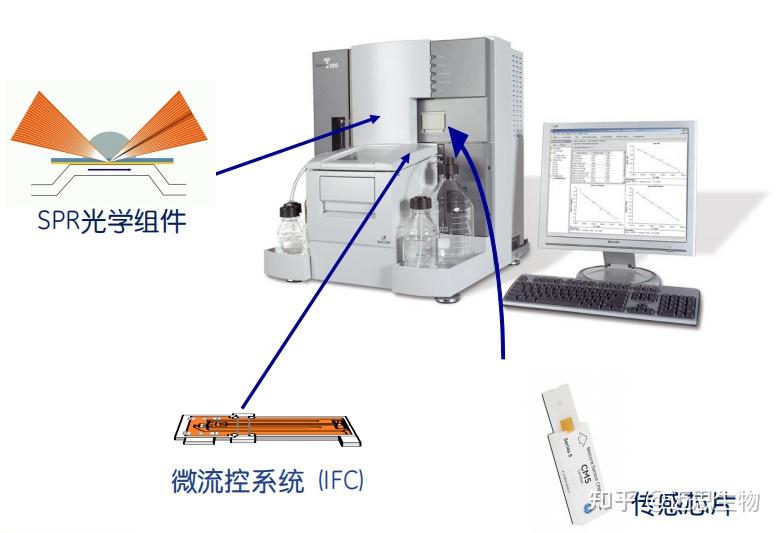 分子互作技术服务介绍：表面等离子体共振SPR - 知乎
