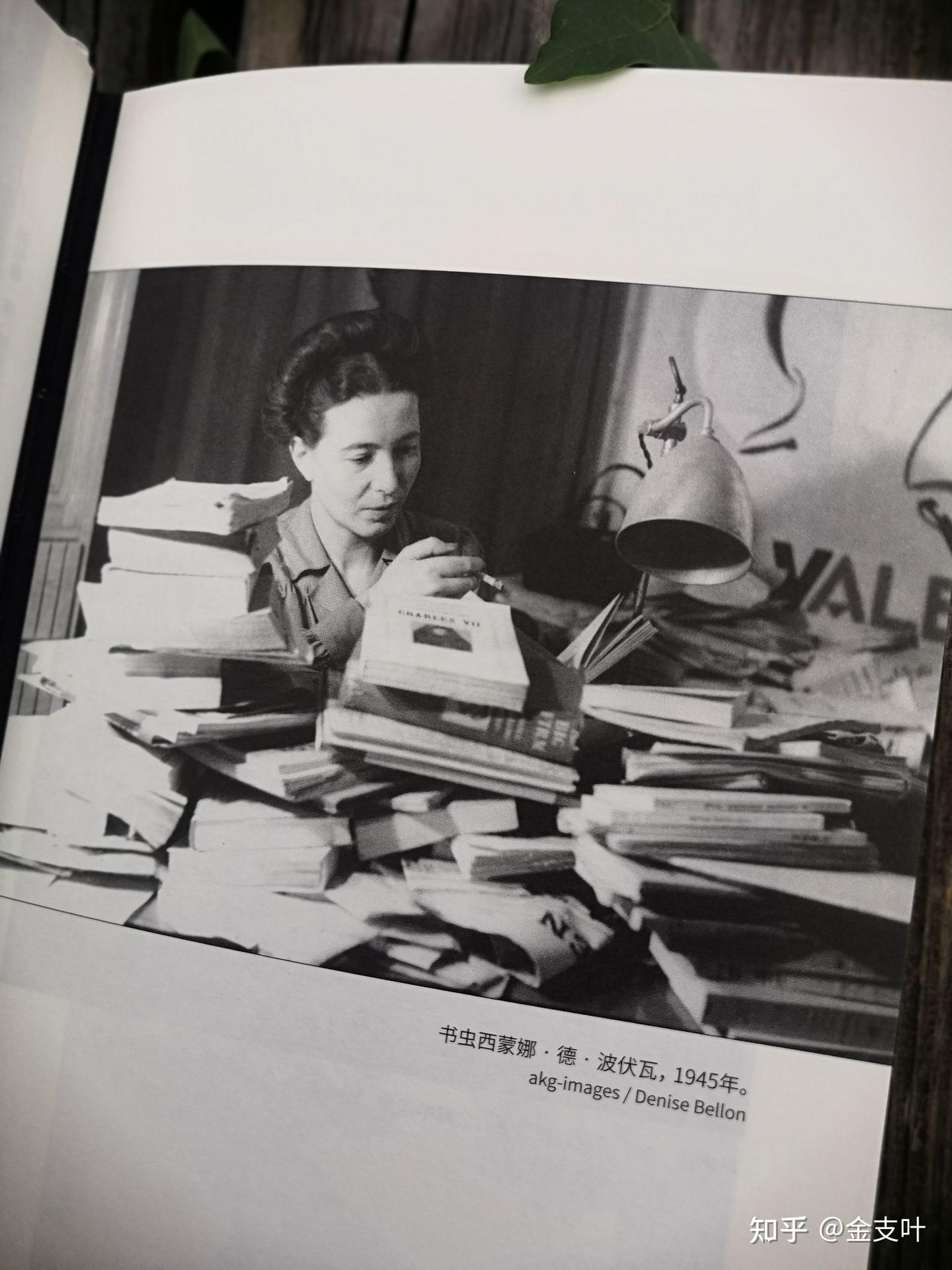 《波伏瓦传》:读人物传记,看波伏瓦充满奇幻的一生 - 知乎