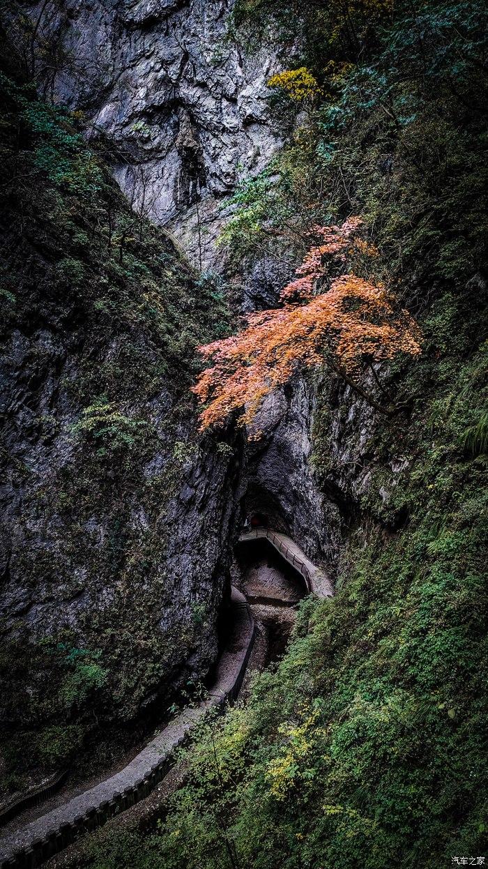 一人一唐,自驾洛南金丝峡,瞰五彩斑斓深秋神瀑峡沟