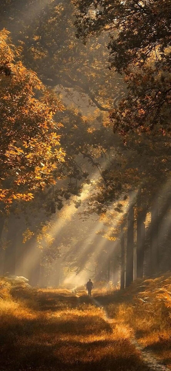 36张绝美风景壁纸 - 知乎