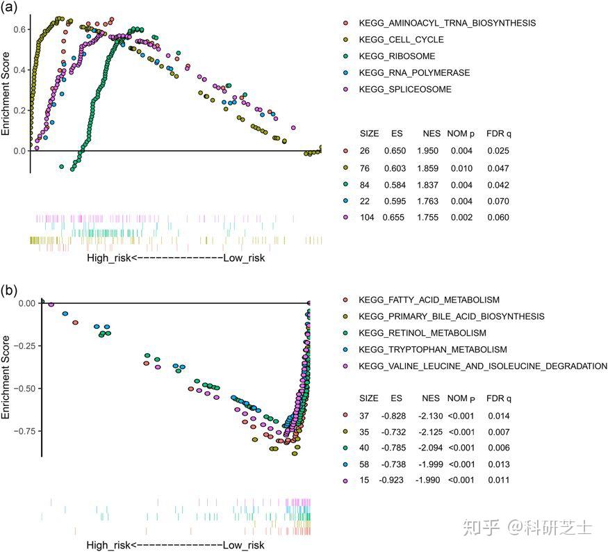 四个基因的能量代谢模型构建与验证，轻松发4分sci！ - 知乎