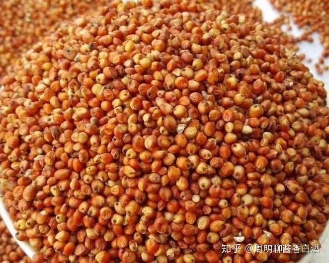 酱香型白酒中坤沙碎沙翻沙窜沙是什么口感有什么区别