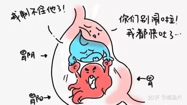 胃阴虚该怎么调节? - 知乎