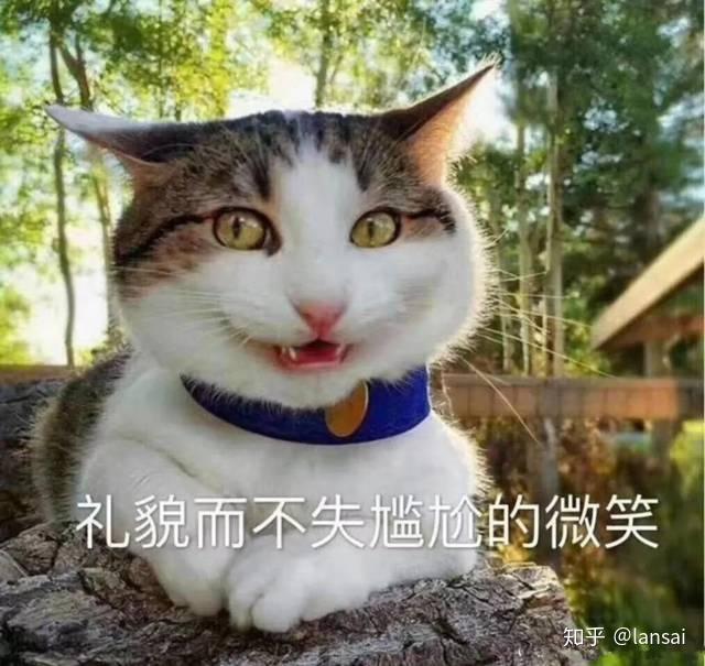 沙雕文案土豆,沙雕文案段子