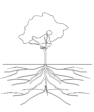 读了很多书但是没有改变你或许遇到了阅读陷阱