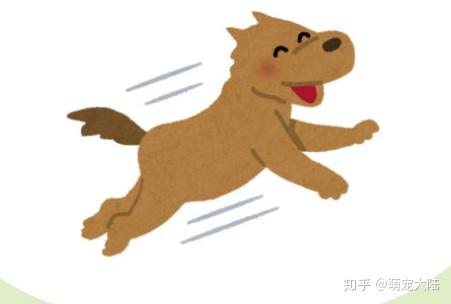 狗狗飞扑怎么办