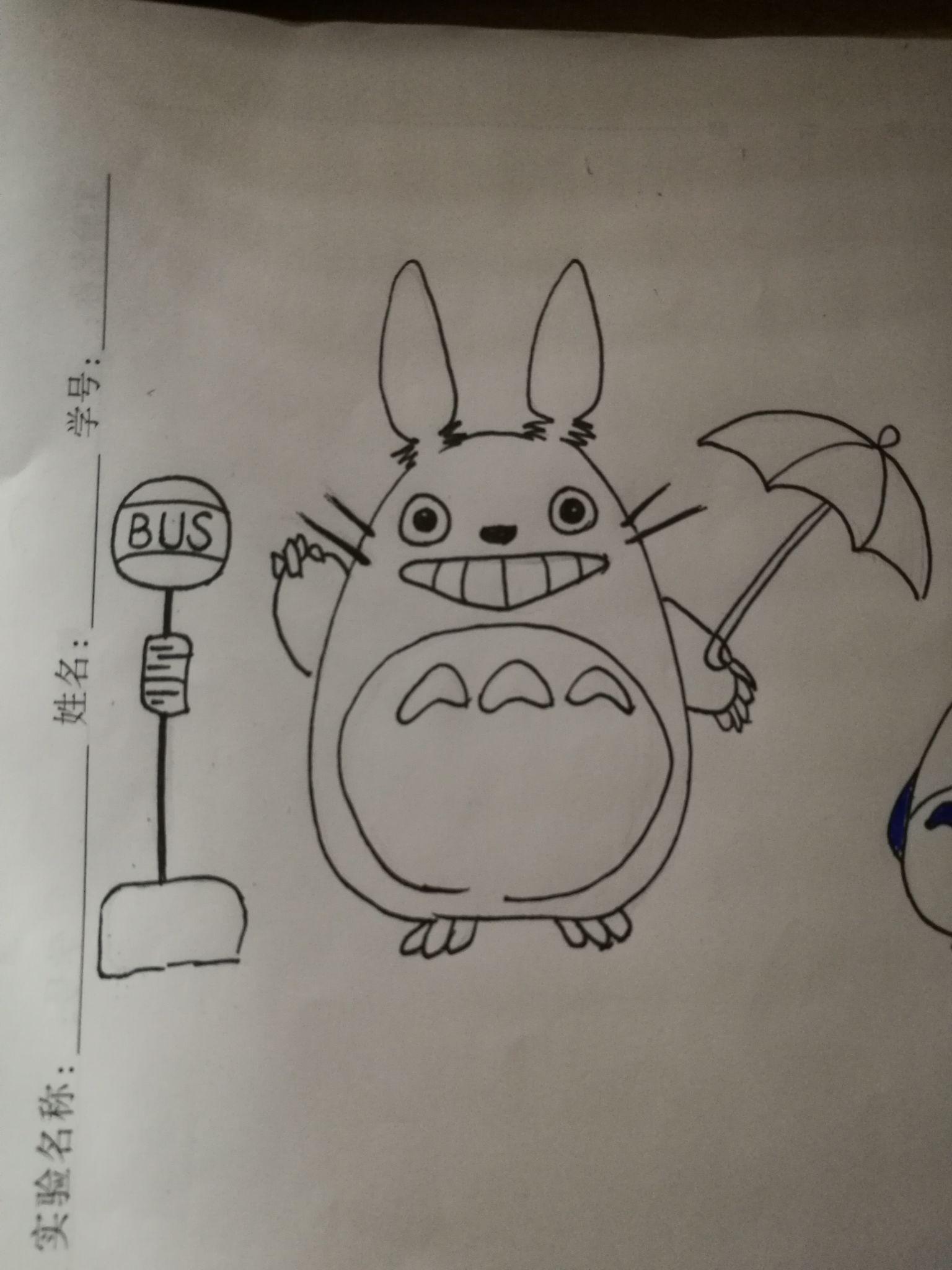 如何画萌萌的龙猫