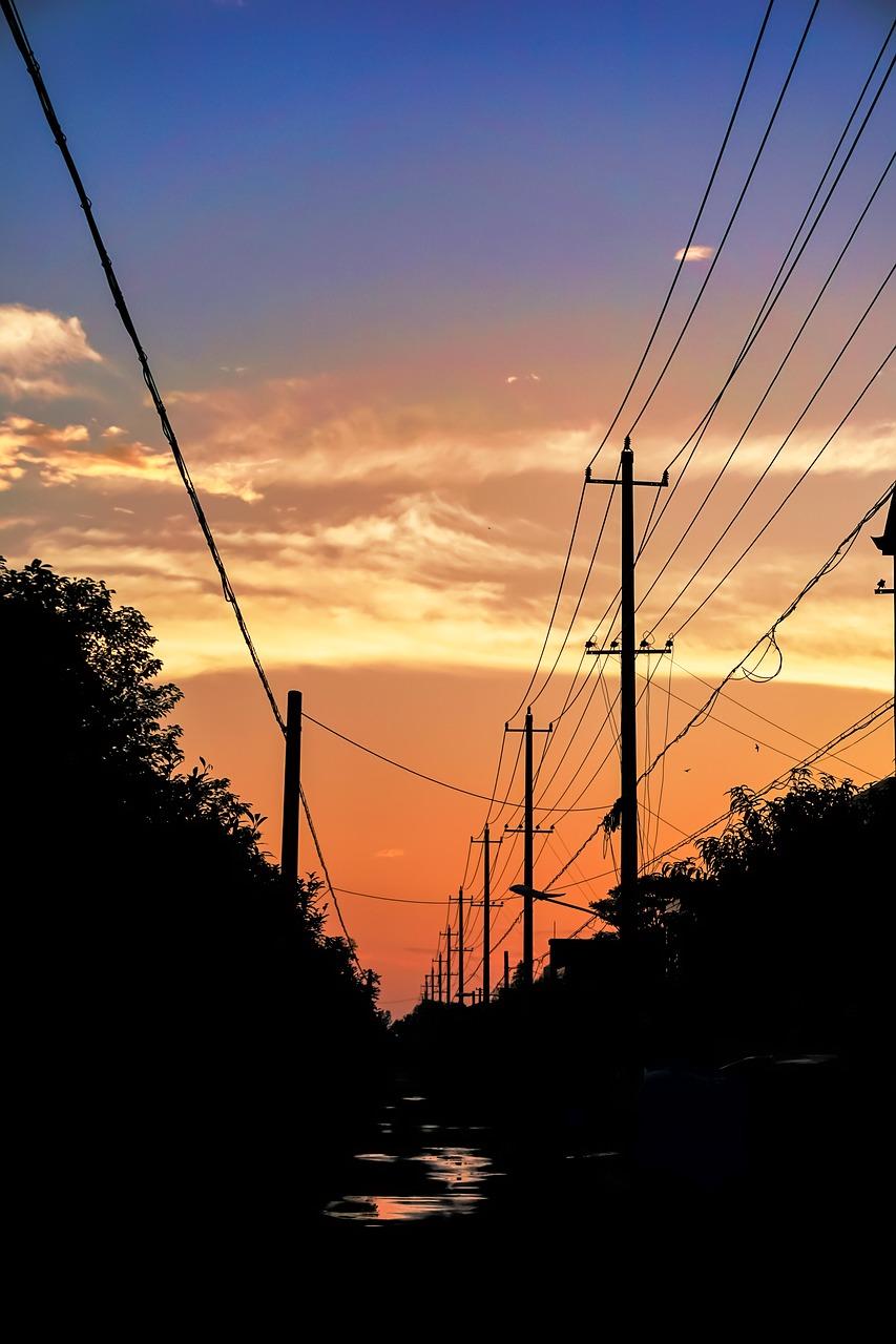 春天里的花开了