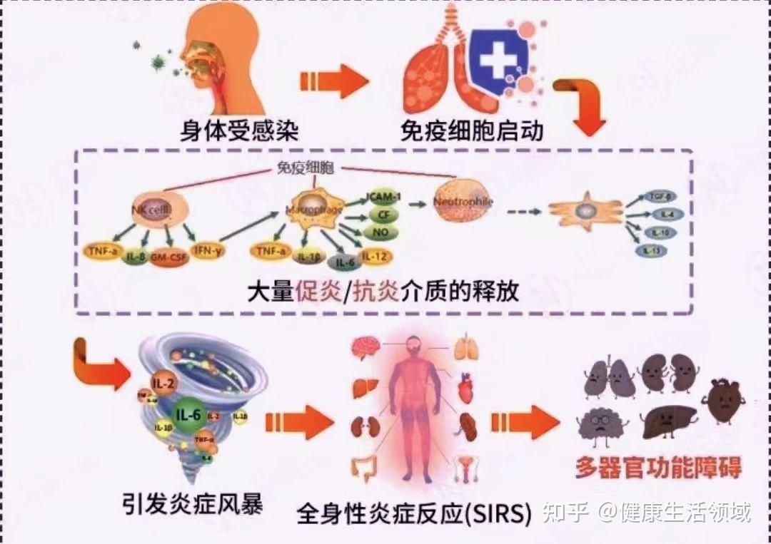 莫要把炎症和感染混为一谈!消除炎症,远离抗生素伤害~ - 知乎
