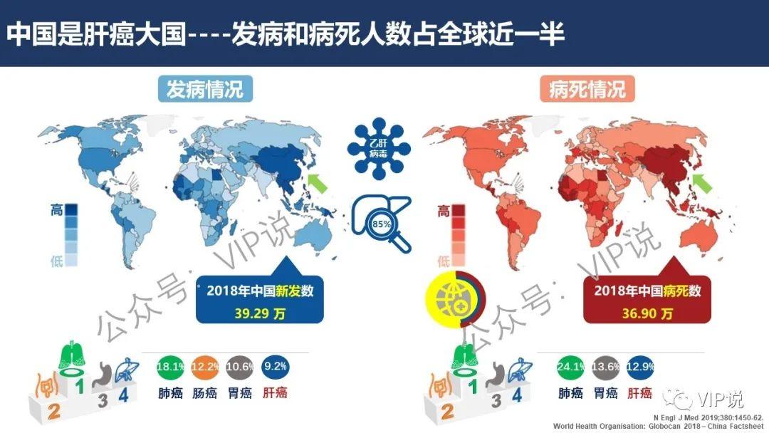 大画肝癌之流行病学