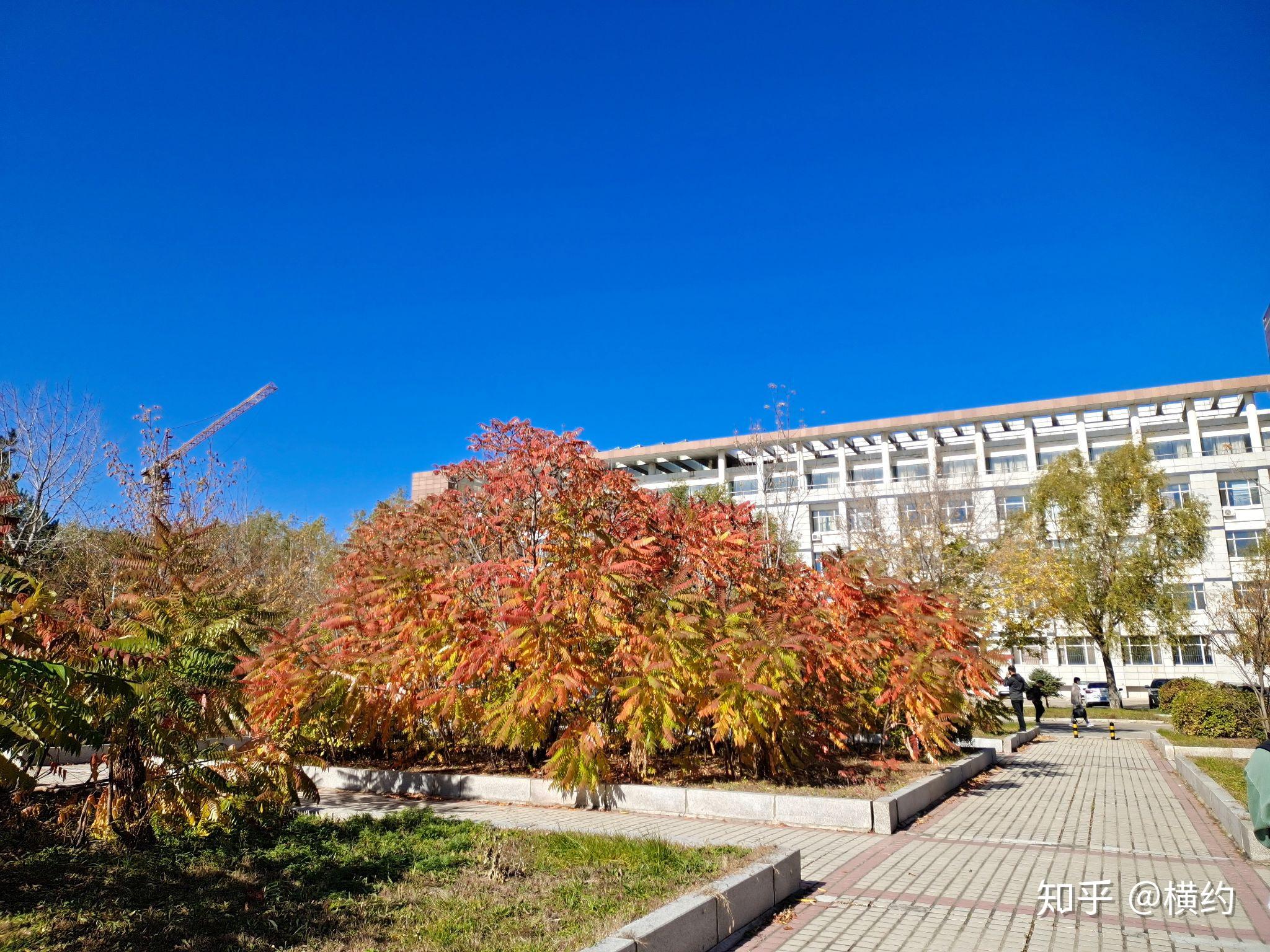 就讀東北石油大學是怎樣的體驗?