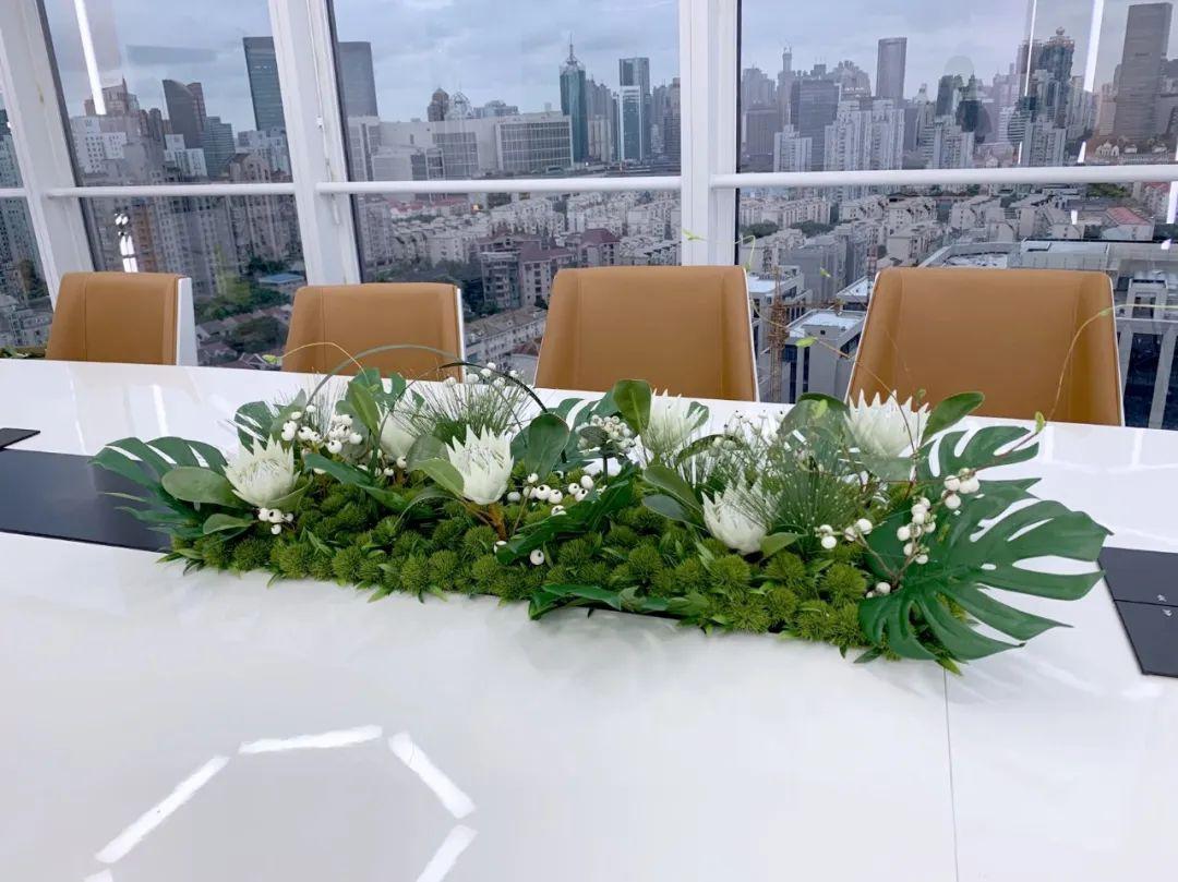 绿植,营造"高大上"空间的法宝!