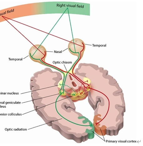 如何看待刘慈欣怒批元宇宙