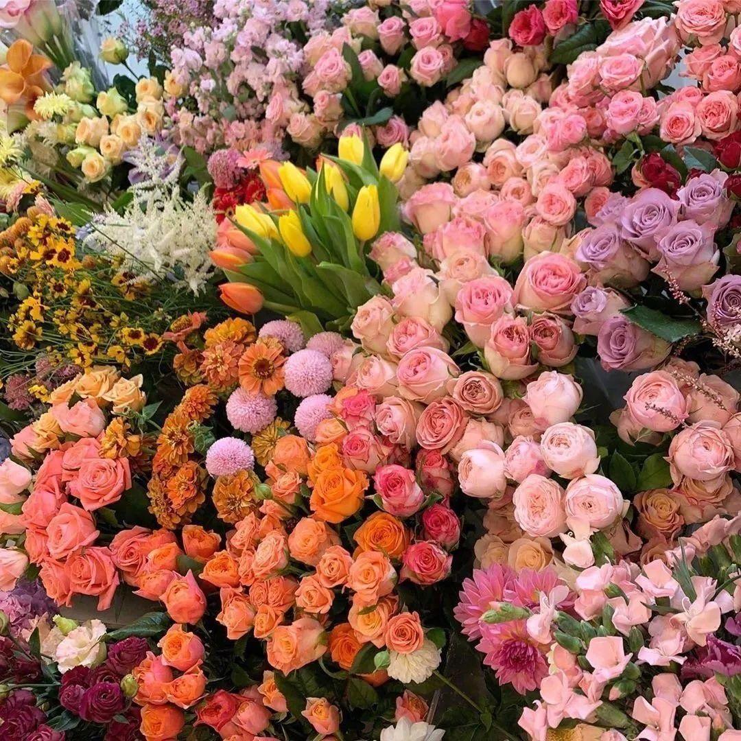 盘点那些ins鲜花背景图极致浪漫且高级