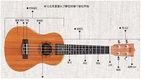二,尤克里里(ukulele)的结构材料