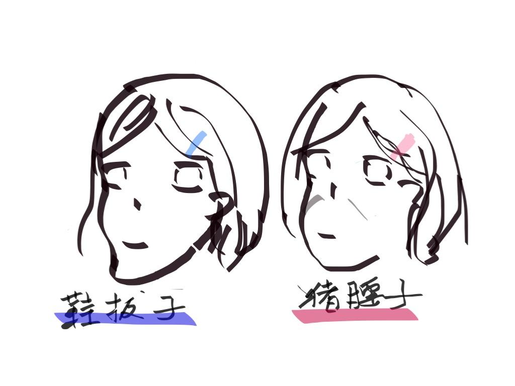 鞋拔子脸和猪腰子脸有什么区别为什么说猪腰子脸还不如鞋拔子脸呢