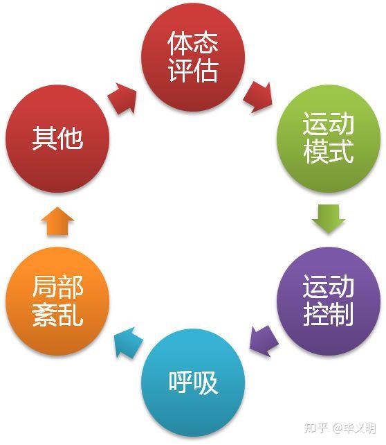 1,体态评估2,运动模式3,运动控制4,呼吸控制5,局部病灶6,结构发育通过