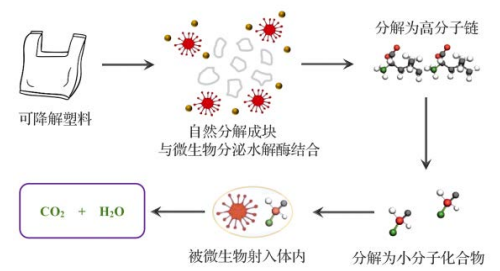 可降解塑料的降解机理生物降解与光降解篇