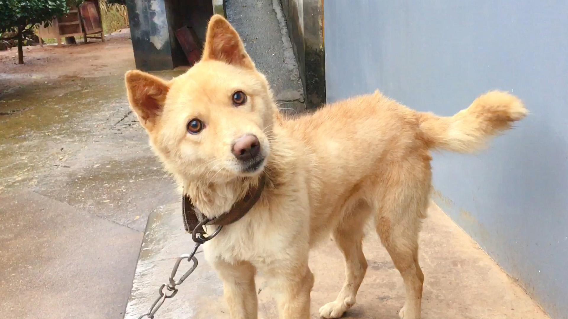 一段隔空的手作法斗