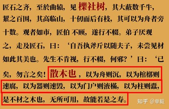 【辟谣】爆火的橡木，真的是好木材吗？为啥中国古代不用？红橡和白橡哪种好？橡胶木和橡木啥关系？怎么选购橡木家具？| 木材知识 - 知乎
