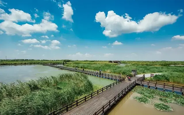 杭州湾湿地公园照片图片