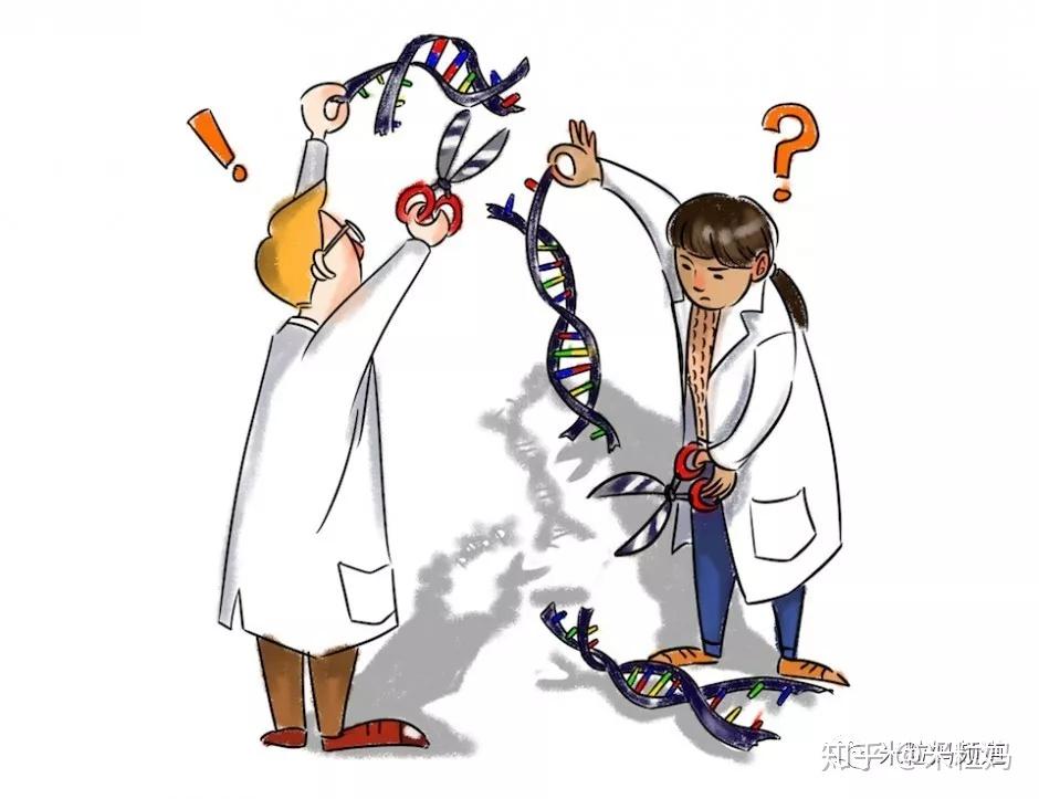 世界首例转基因人诞生基因编辑后果究竟有多可怕