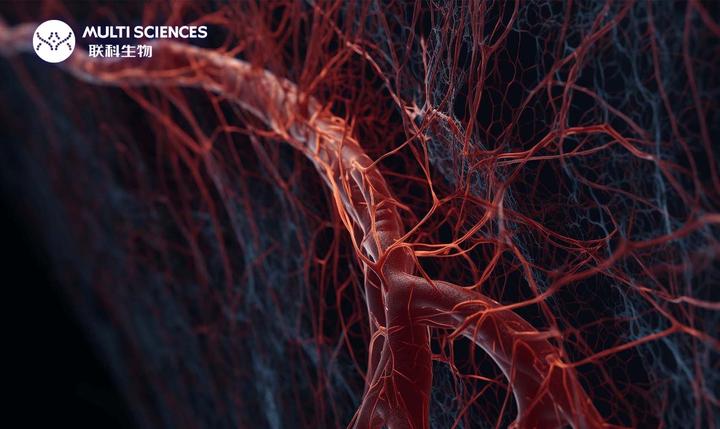 ELISA系列 血管内皮生长因子（VEGF） 知乎