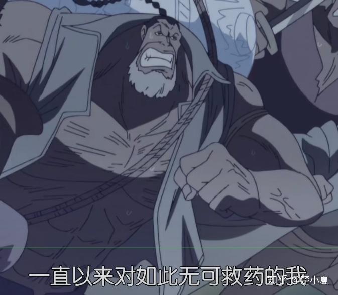 如何评价海贼王里的艾斯之死