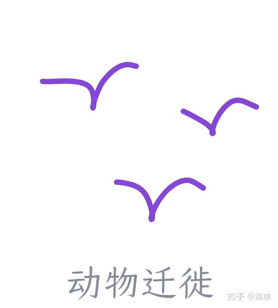 qq红包动物迁徙画法图片