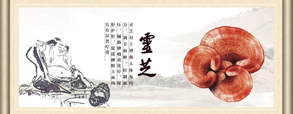 揭秘灵芝保健真相 知乎