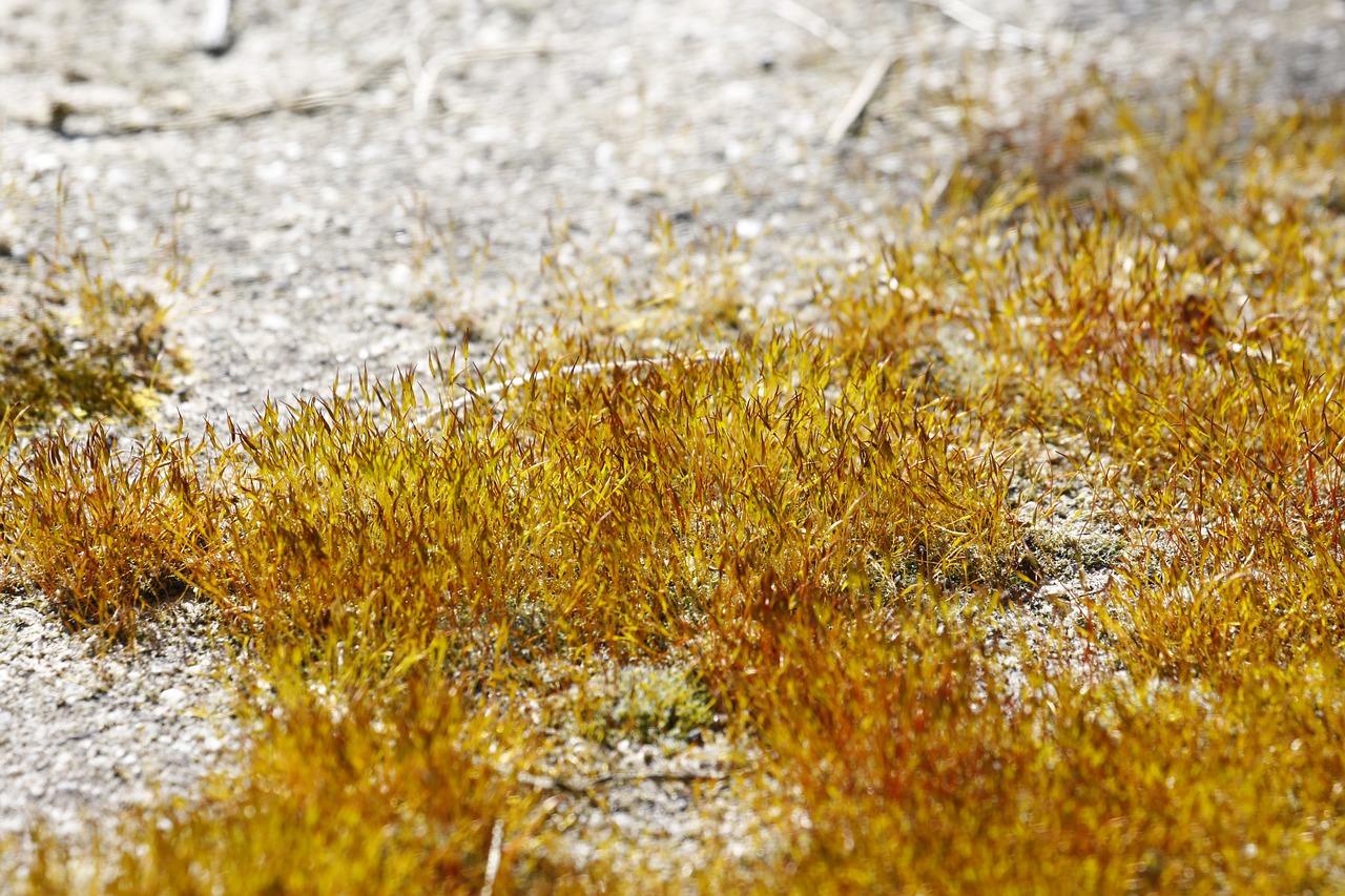 防水层厚度要求是多少
