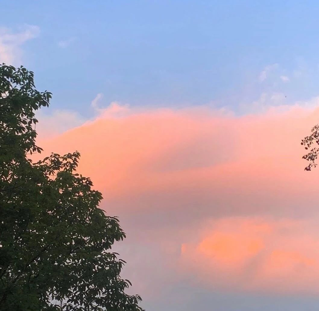 5,现在的坚冰,会变成春天的河4,会见面的再等等 等春天的温柔长满枝头