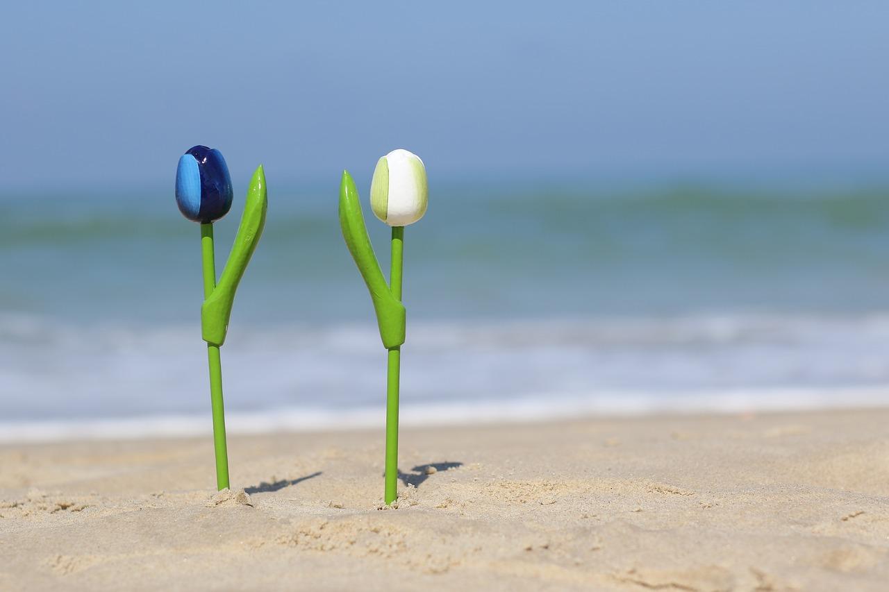 3. 花盆透气性关键