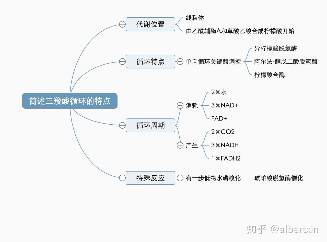 简述三羧酸循环的特点.