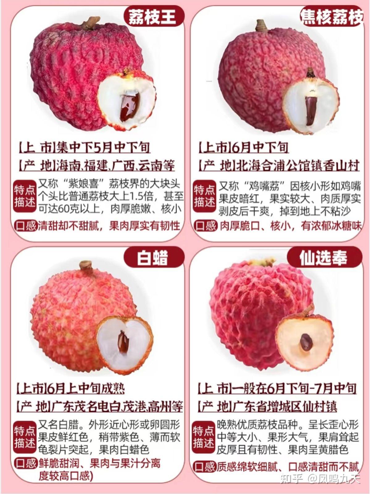 一分钟认识荔枝品种合集 - 知乎