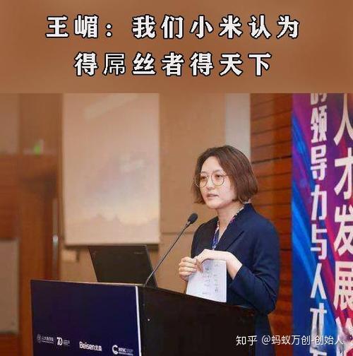 王嵋屌丝事件对小米集团的伤害有多大