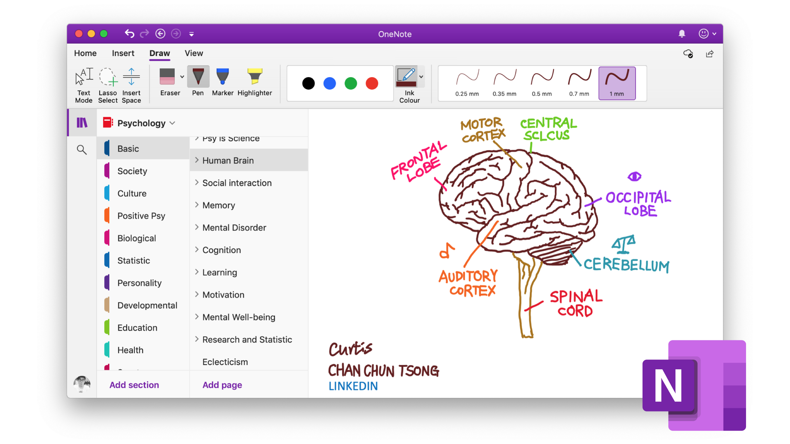 使用 OneNote 做心理學筆記 - 知乎