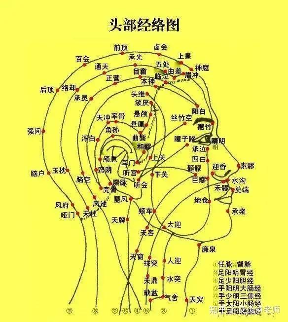 掌管着人体的一切活动,头部健康与否决定着人体其他各部位的健康状态