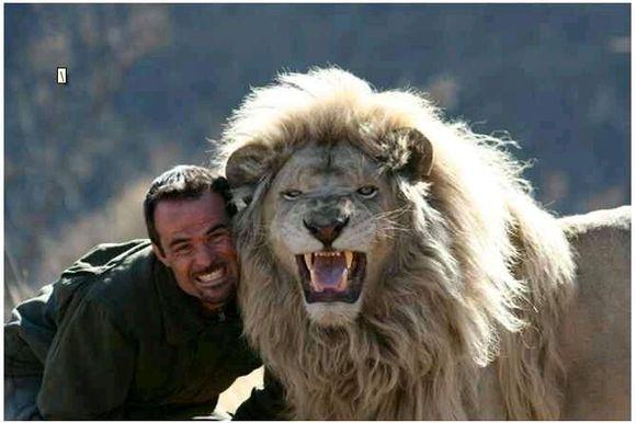 为什么我觉得狼给人的压迫感大于老虎和狮子