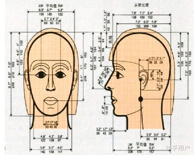 头宽怎么测量图片图片